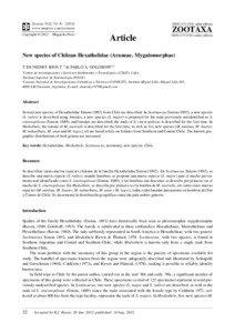 New species of Chilean Hexathelidae (Araneae, Mygalomorphae)