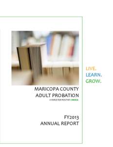 LIVE. LEARN. GROW. MARICOPA COUNTY ADULT PROBATION A FORCE FOR POSITIVE CHANGE.