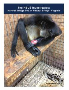 Microsoft Word - HSUS_Natural Bridge Zoo Investigation Report_lfinal.docx