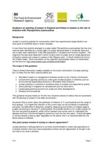 Guidance on planting of juniper in England and Wales in relation to the risk of infection with Phytophthora austrocedrae Background Juniper is a priority species for conservation which has experienced a large decline ove