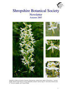 Shropshire Botanical Society Newsletter Autumn 2007