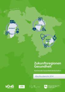 Heidekreis Emsland Wolfenbüttel  Zukunftsregionen