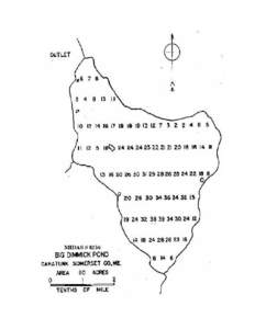 BIG DIMMICK POND Caratunk, Somerset County U.S.G.S. Dimmick Mountain, Maine (7½’) Fishes Brook trout Minnows