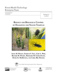 Biota / Calophasia lunula / Botany / Linaria dalmatica / Linaria / Eteobalea serratella / Calophasia / Noxious weed / Eteobalea intermediella / Plantaginaceae / Cuculliinae / Flora
