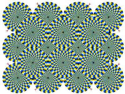 Motion illusion, rotating snakes  Slide credit Fei Fei Li Slide credit Fei Fei Li