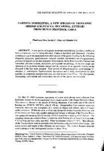 CARIDINA SEMIBLEPSIA, A NEW SPECIES OF TROGLONIC SH~P(CRUSTACEA:DECAPODA:ATYIDAE) FROM HUNAN PROVINCE, CHINA