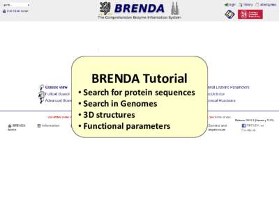 BRENDA Tutorial • Search for protein sequences • Search in Genomes • 3D structures • Functional parameters