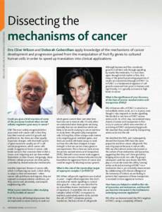 DRS CLIVE WILSON & DEBORAH GOBERDHAN  Dissecting the mechanisms of cancer Drs Clive Wilson and Deborah Goberdhan apply knowledge of the mechanisms of cancer development and progression gained from the manipulation of fru