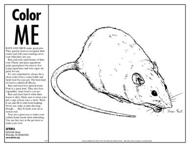 Color  ME RATS AND MICE make great pets. They quickly learn to recognize their