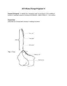 Food and drink / Plant morphology / Plant anatomy / Native American cuisine / Tropical agriculture / Hypocotyl / Seed / Maize / Sweet corn / Botany / Biology / Plant reproduction