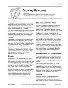 Fruit • HO-220-W  Growing Pawpaws TREE FRUIT PURDUE UNIVERSITY COOPERATIVE EXTENSION SERVICE • DEPARTMENT OF HORTICULTURE • WEST LAFAYETTE