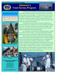 DELAWARE DIVISION OF FISH & WILDLIFE, DNREC  Delaware’s Trawl Survey Program The Division of Fish and Wildlife monitors the status of a wide variety of marine finfish and shellfish populations in the Delaware Estuary a