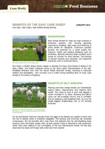 BENEFITS OF THE EASY CARE SHEEP  JANUARY 2012 Low-input, high output, high welfare sheep farming