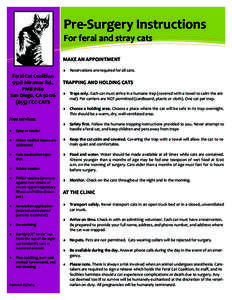 Information Technology Solutions  Pre-Surgery Instructions For feral and stray cats MAKE AN APPOINTMENT 