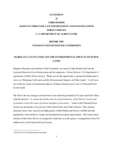 Statement of Chris Boehm before the United States Sentencing Commission