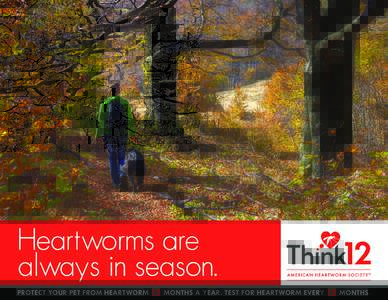 Heartworms are always in season. PROTECT YOUR PET FROM HEARTWORM 12 MONTHS A YEAR. TEST FOR HEARTWORM EVE RY 12 MONTHS.