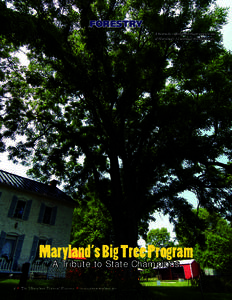 FORESTRY A Kentucky coffeetree in Hagerstown is one of Maryland’s 12 national champion trees. Maryland’s Big Tree Program A Tribute to State Champions