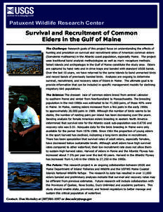 Patuxent Wildlife Research Center  Survival and Recruitment of Common Eiders in the Gulf of Maine The Challenge: Research goals of this project focus on understanding the effects of hunting and predation on survival and 