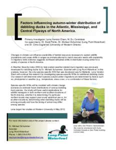 Factors influencing autumn-winter distribution of dabbling ducks in the Atlantic, Mississippi, and Central Flyways of North America. Primary Investigator: Lena Vanden Elsen, M. Sc. Candidate Co-supervisors: Dr. Scott Pet