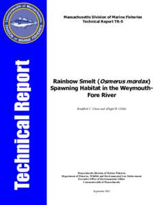 Microsoft Word - foreriver-smeltreport.doc