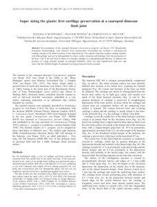 Journal of the Geological Society, London, Vol. 164, 2007, pp. 61–65. Printed in Great Britain.  Super sizing the giants: first cartilage preservation at a sauropod dinosaur