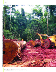 Photo: Reduced impact logging establishes limited extraction rates and minimum stem diameter whilst minimizing the collateral damage associated with the removal of larger, more valuable trees. © ZSL  100 State of the Ap