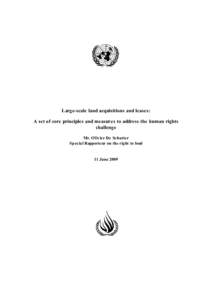 Large-scale land acquisitions and leases: A set of core principles and measures to address the human rights challenge Mr. Olivier De Schutter Special Rapporteur on the right to food