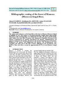 Hysteriaceae / La Mamora / Rabat / Geography of Africa / Dothideomycetes / Lycoperdaceae / Lycoperdon