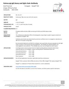 Guinea pig IgG-heavy and light chain Antibody Goat Polyclonal Conjugate  DyLight® 550