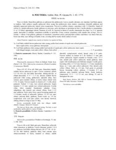 Pachypodium baronii / Pachypodium brevicaule / Eudicots / Flora / Biota