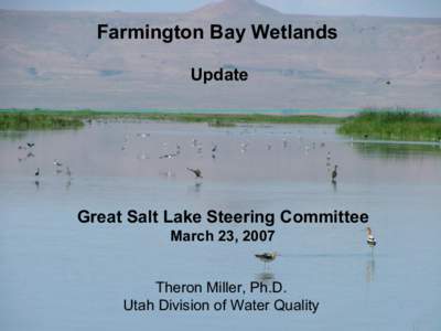 Farmington Bay Wetlands  Update  Great Salt Lake Steering Committee  March 23, 2007 