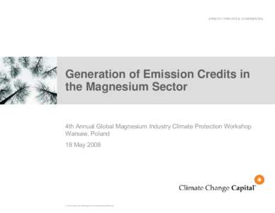 Generation of Emission Credits in the Magnesium Sector