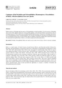 Catalogue of the Dryinidae and Sclerogibbidae (Hymenoptera: Chrysidoidea) of Belize, with description of two new species