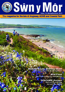 Beaches of Wales / Islands of Anglesey / Area of Outstanding Natural Beauty / Newborough Warren / Newborough Forest / Dune / Rhosneigr / Cribinau / Ynys Llanddwyn / Geography of the United Kingdom / Geography of Wales / Anglesey