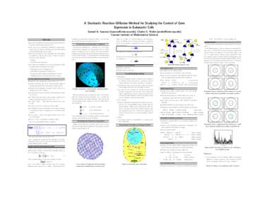 A Stochastic Reaction–Diffusion Method for Studying the Control of Gene Expression in Eukaryotic Cells Samuel A. Isaacson (), Charles S. Peskin () Courant Institute of Mathematic