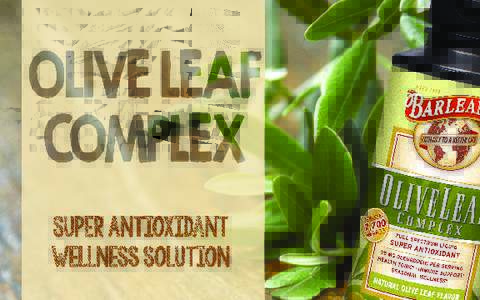 Lit 407  WHAT IS OLIVE LEAF COMPLEX? Used for centuries as a traditional medicinal plant throughout the world, Olive Leaf Complex was regarded as somewhat