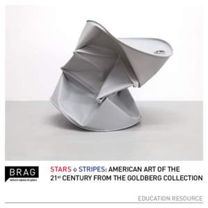 STARS + STRIPES: AMERICAN ART OF THE 21st CENTURY FROM THE GOLDBERG COLLECTION EDUCATION RESOURCE FEATURED ARTISTS