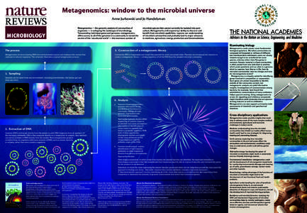 Metagenomics: window to the microbial universe Anne Jurkowski and Jo Handelsman MICROBIOLOGY  Metagenomics — the genomic analysis of communities of