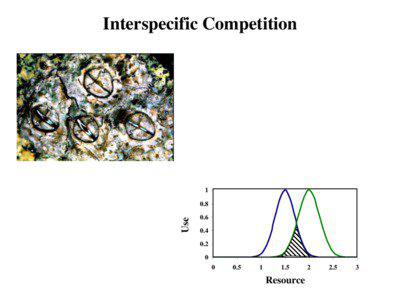 Interspecific Competition  1