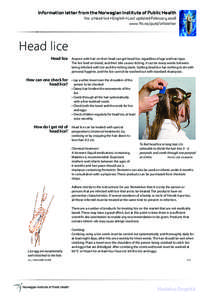 Information letter from the Norwegian Institute of Public Health No. 2 Head lice • English • Last updated February 2008 www.fhi.no/publ/infoletter