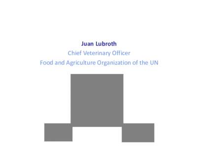 Juan Lubroth Chief Veterinary Officer Food and Agriculture Organization of the UN Livelihoods (Poverty Alleviation and Equity)