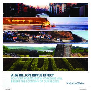 A £6 B BILLION LL N RIPPLE P E EFFECT