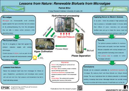 Lessons from Nature: Renewable Biofuels from Microalgae Patrick Biller Energy Research Institute, University of Leeds, UK Hydrothermal processing