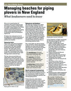 U.S. Fish & Wildlife Service  Managing beaches for piping plovers in New England We use our coastal beaches for recreation, they protect adjacent land