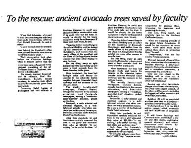 To the rescue: ancient avocado trees saved byfaculty When Dirk Schroeder, who used to tend the roses along the mile-long fence on EI Camino Real, called up Prof. Ronald Bracewell, he said in effect: