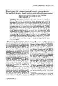 JOURNAL OF MORPHOLOGY 229:[removed]Morphology and Ultrastructure of Possible Integumentary