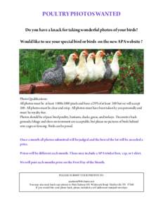 POULTRY PHOTOS WANTED Do you have a knack for taking wonderful photos of your birds? Would like to see your special bird or birds on the new APA website ? Photo Qualifications: All photos must be at least 1000x1000 pixel