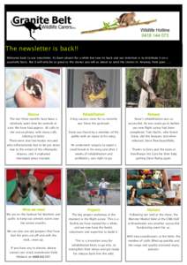 The newsletter is back!! Welcome back to our newsletter. Its been absent for a while but now its back and our intention is to distribute it on a quarterly basis. But it will only be as good as the stories you tell us abo