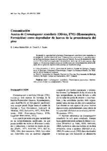 Comunicación Acerca de Crematogaster scutellaris (Olivier, [removed]Hymenoptera, Formicidae) como depredador de huevos de la procesionaria del pino