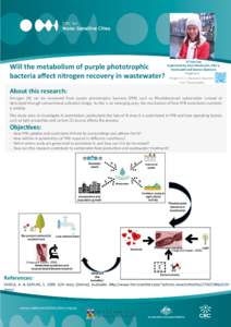 Will	
  the	
  metabolism	
  of	
  purple	
  phototrophic	
   bacteria	
  aﬀect	
  nitrogen	
  recovery	
  in	
  wastewater?	
   Yi	
  Yuan	
  Lee	
   Supervised	
  by	
  Anas	
  Ghadouani,	
  Elke	
